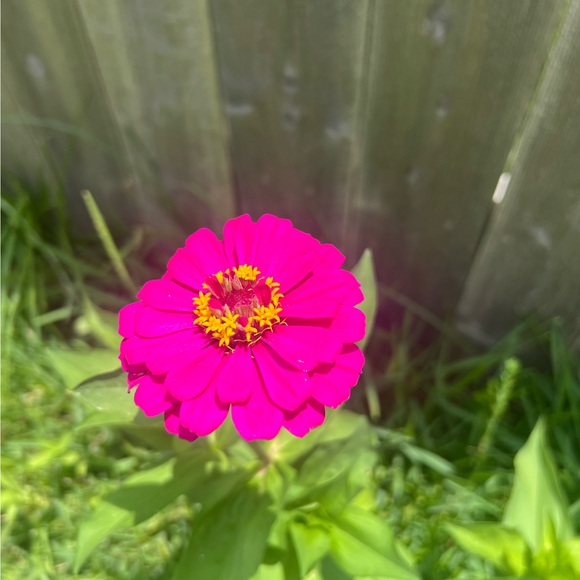 tiffanym644
